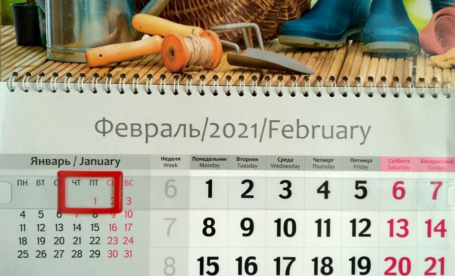 Какую рассаду можно посеять в феврале? 