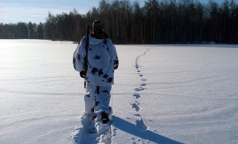 31 января завершается сезон охоты на пушных животных и благородного оленя