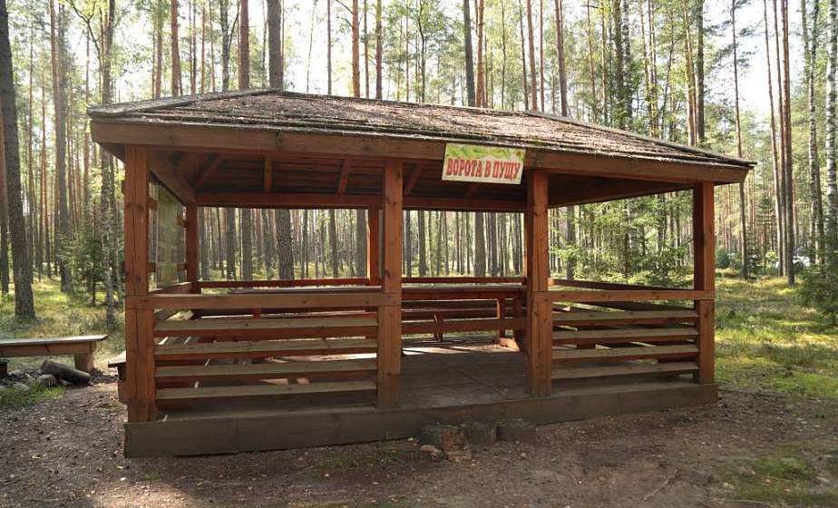 Peers of the mammoth and "Forest Jerusalem". Nalibokskaya Pushcha in the project "Grodno region: reserved world"