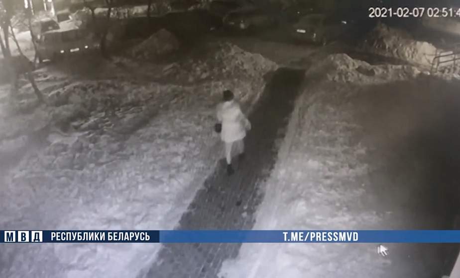 Жителя Гродно задержали за попытку сексуального насилия 