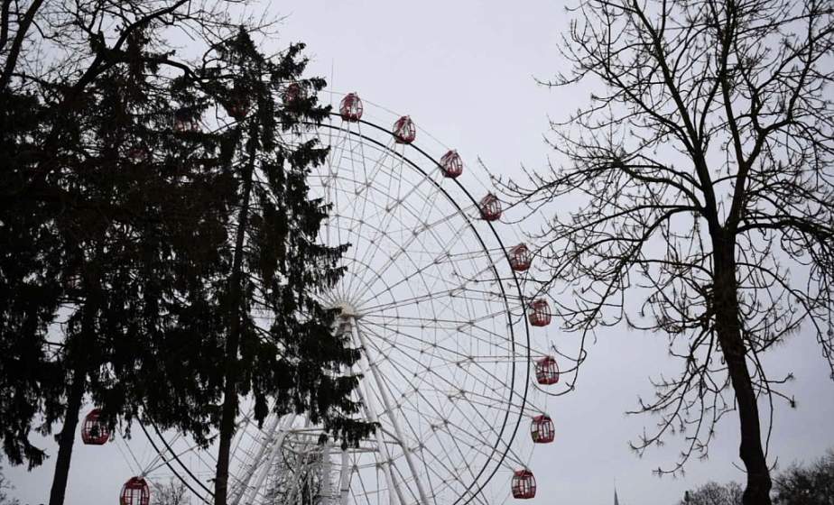 Сильный ветер и снегопад. В Гродно бушует непогода