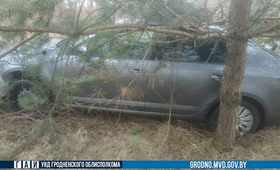 Под Гродно водитель не справился с управлением и вылетел в кювет 