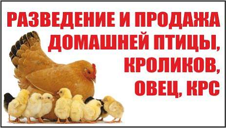 Малец В.И.