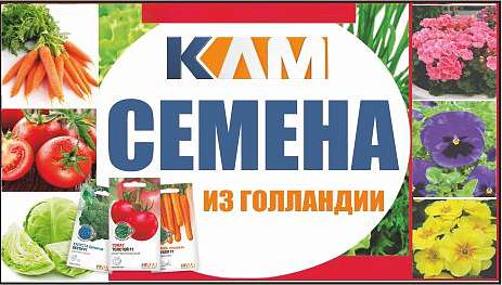 ООО «КЛМ»