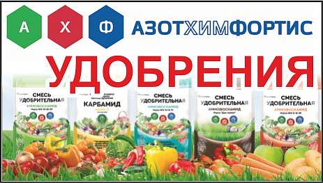 «АзотХимФортис»