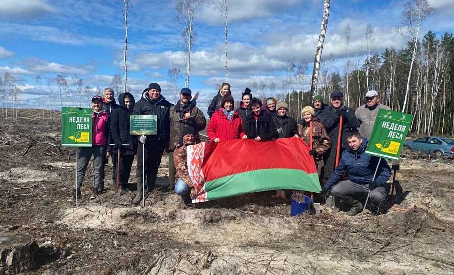 «Неделя леса» – объединяющая инициатива. Первые коллективы приступили к посадке деревьев