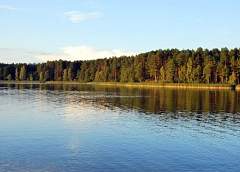 Откроют ли пляж на Молочном озере?
