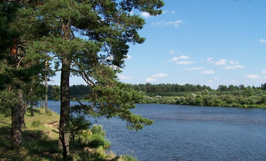 Тайны лидских окрестностей. Семейная пара запечатлела удивительные кадры