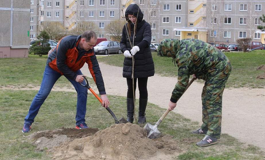1700 молодых деревьев для города. Где в Гродно появятся новые скверы и аллеи