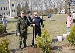 В Щучине высадили аллею памяти медицинских работников и заложили капсулу с посланием будущему поколению врачей