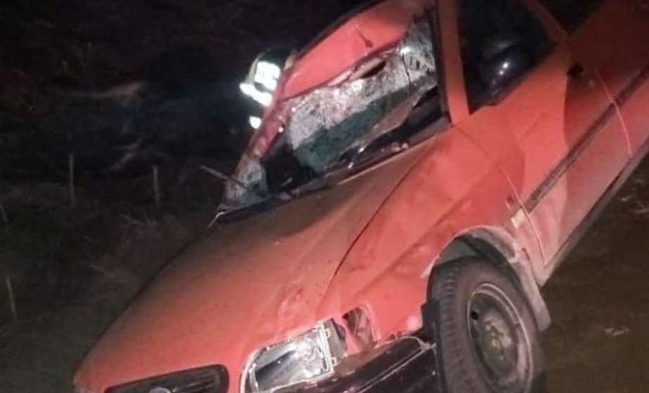 В Лидском районе Форд-Эскорт сбил лося. В аварии пострадал несовершеннолетний пассажир