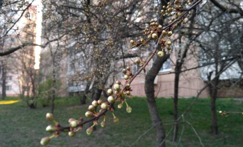 Тепла не будет. Погода на неделю с 26 апреля по 2 мая (+видео)