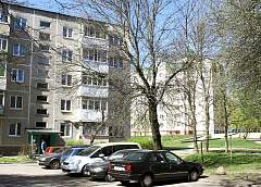 Что будет с аварийными деревьями по улице Врублевского в Гродно