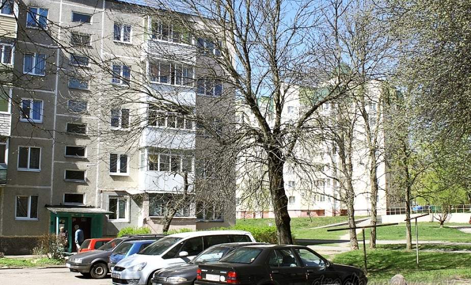 Что будет с аварийными деревьями по улице Врублевского в Гродно