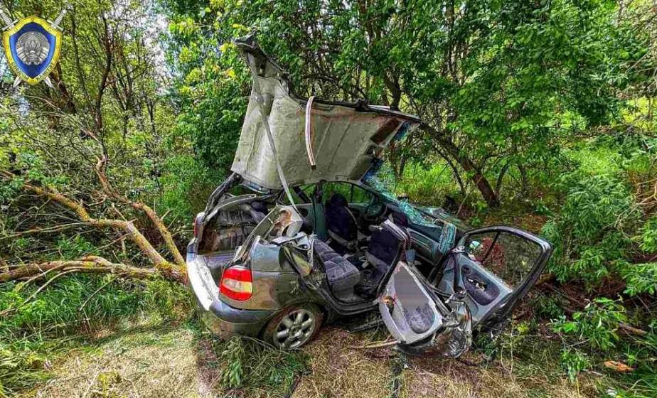  Водитель, не гони! Как любовь к скорости оборачивается трагедией 