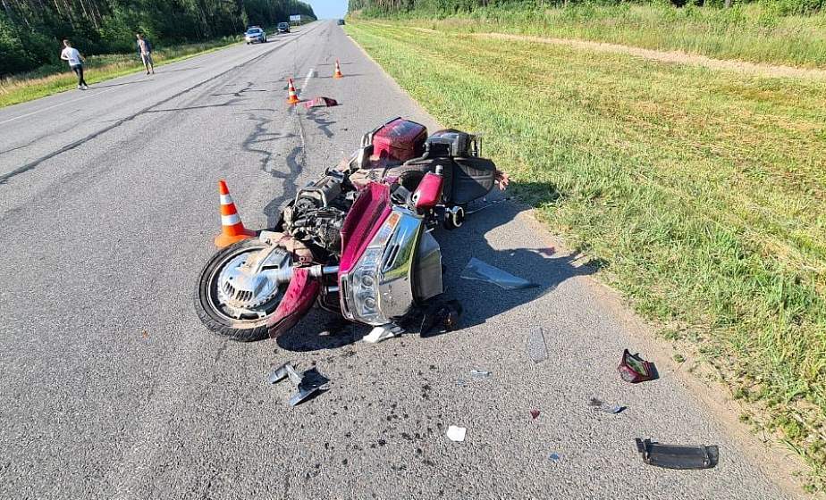 Дикий кабан стал причиной серьезного ДТП на  дороге  Гоза-Островец-Ошмяны 