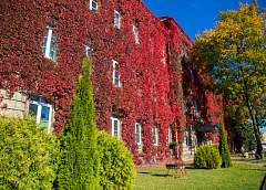 Основная задача – качественное образование и наука