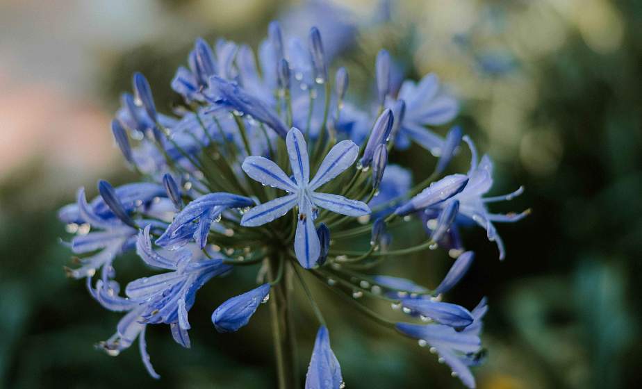 Дожди и грозы ожидаются в Беларуси 4 августа