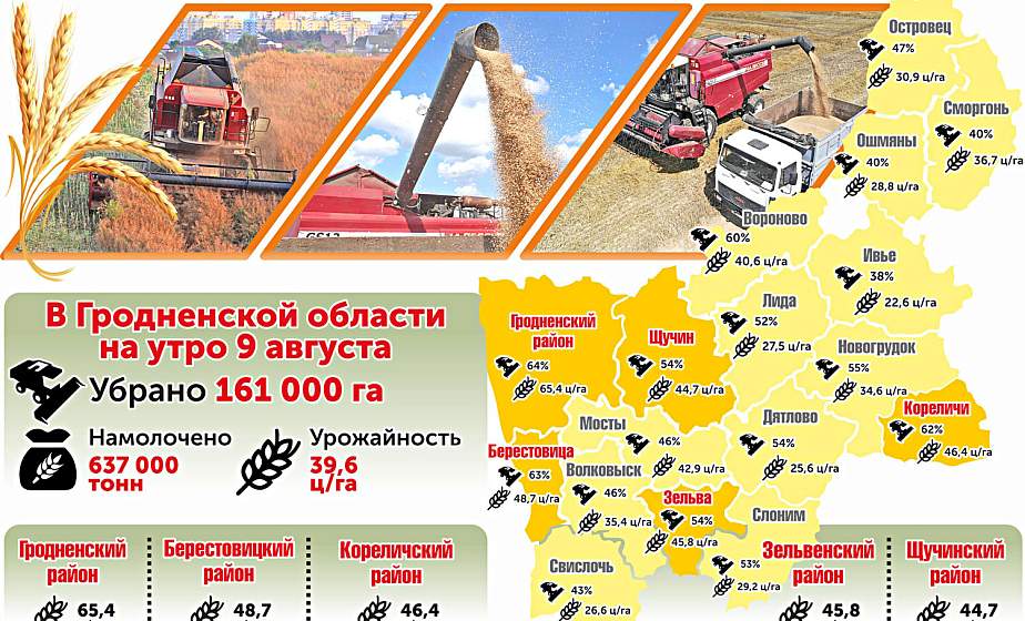 Уборка урожая на Гродненщине. Цифры на утро 9 августа (инфографика)
