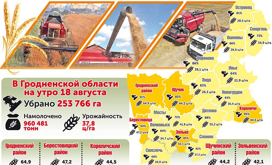 Уборка урожая на Гродненщине. Цифры на утро 18 августа (инфографика)