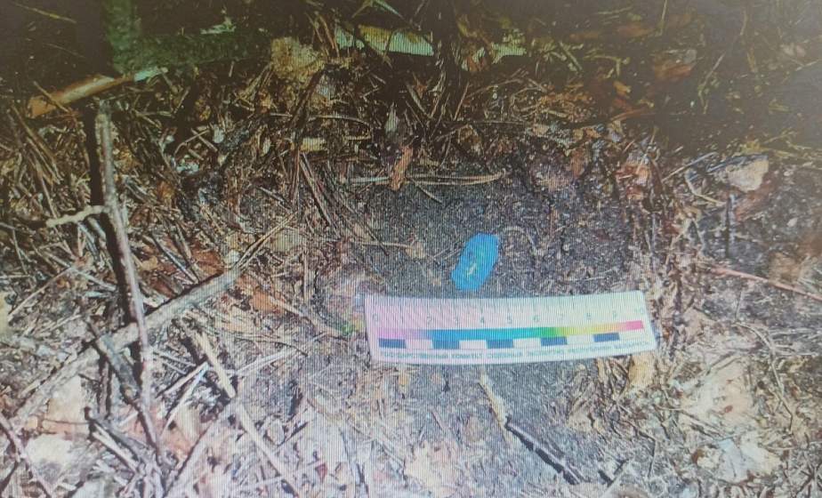 Искал закладку, а нашел сотрудников милиции. В Гродно задержан мужчина, искавший в лесу наркотики