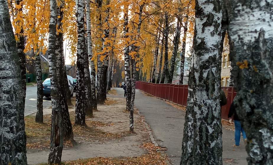 ФОТОФАКТ: Гродно за пять дней до ноября