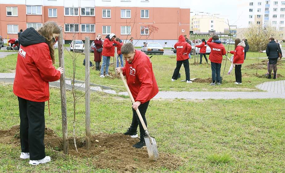 Аллея семейных деревьев появилась на улице Соломенковской в Гродно