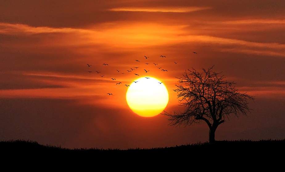 Ученые зафиксировали мощную магнитную бурю