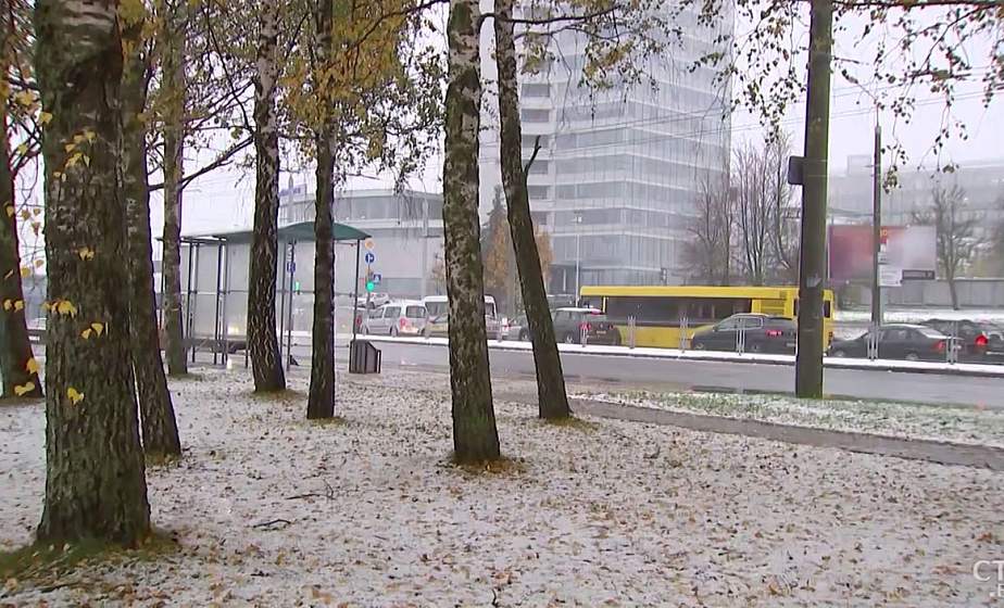 Если 15 ноября будет дождь, скоро наступят заморозки. Какие приметы подскажут приход зимы? (+видео)
