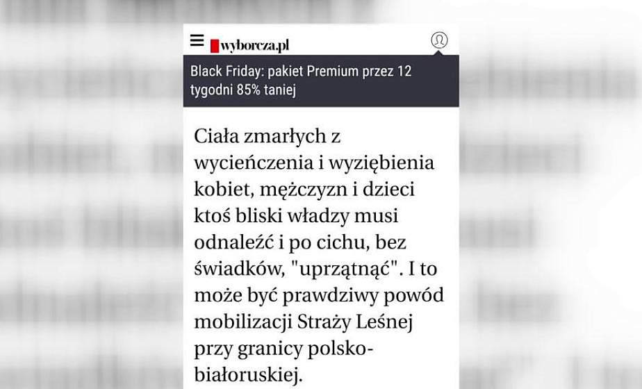 Польская активистка: умерших от истощения и холода беженцев кто-то из приближённых к властям должен тихо похоронить