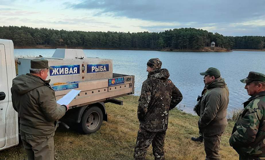 В Гродненской области зарыбили три водоема. Рассказываем, где и на какой улов можно будет рассчитывать рыбакам