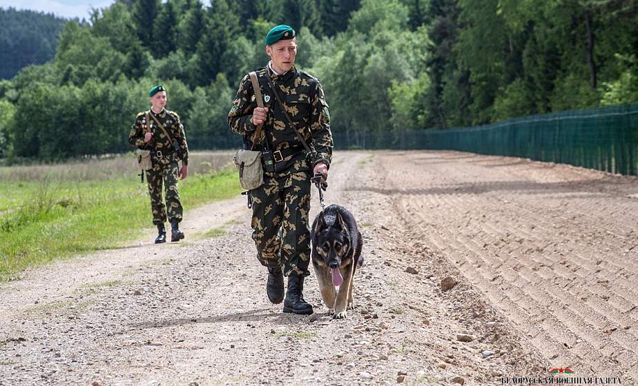 Нелегалов из Пакистана и стран Африки задержали на государственной границе