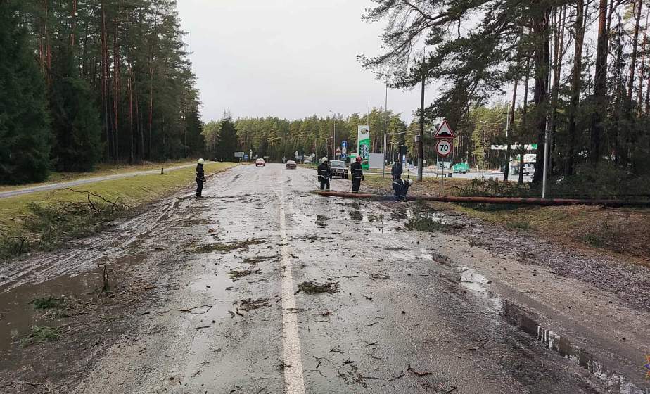 Сильный ветер на Гродненщине: в МЧС рассказали о последствиях разгула стихии