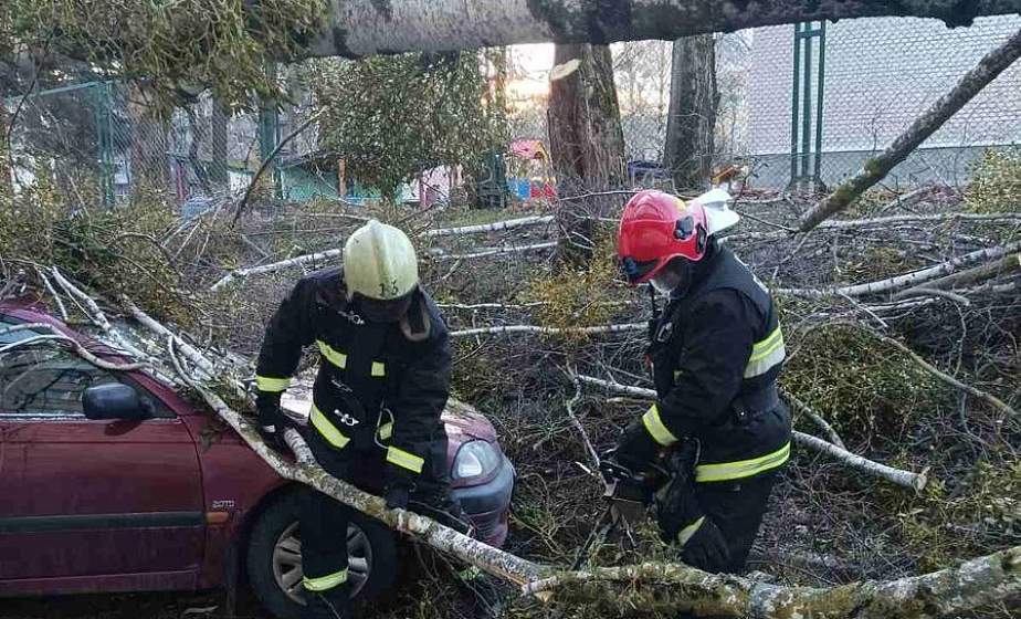 Порывы до 26 м/с: в МЧС рассказали о последствиях сильного ветра в области