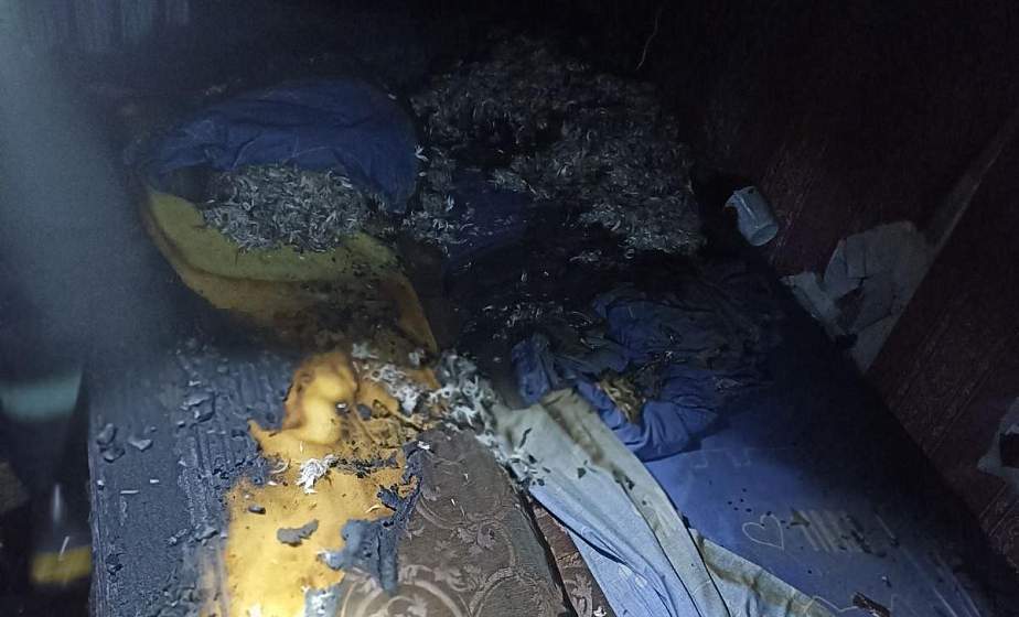 В Новогрудке на пожаре работники МЧС спасли двух братьев