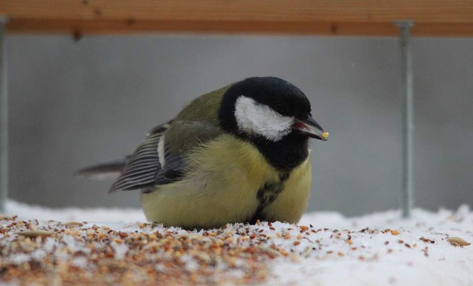 Синоптики прогнозируют дождь и порывистый ветер 16 февраля