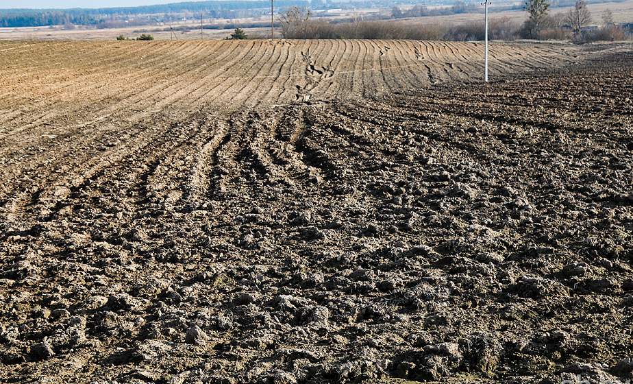 КГК установил факты самовольного занятия земли в трех районах Гродненской области