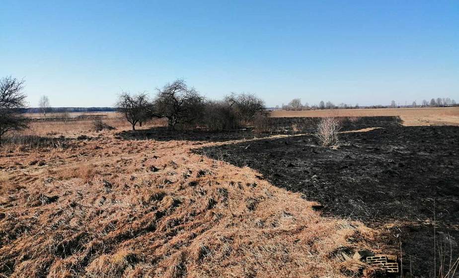 В Ивьевском районне при сжигании травы погибла пенсионерка
