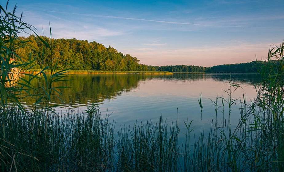 В заказник «Озёры» можно будет путешествовать по железной дороге. В разработке 5 станций
