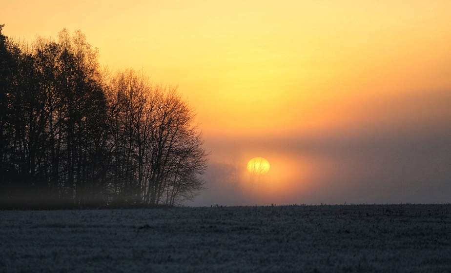 Белгидромет: осадков ждать не стоит минимум до середины следующей недели