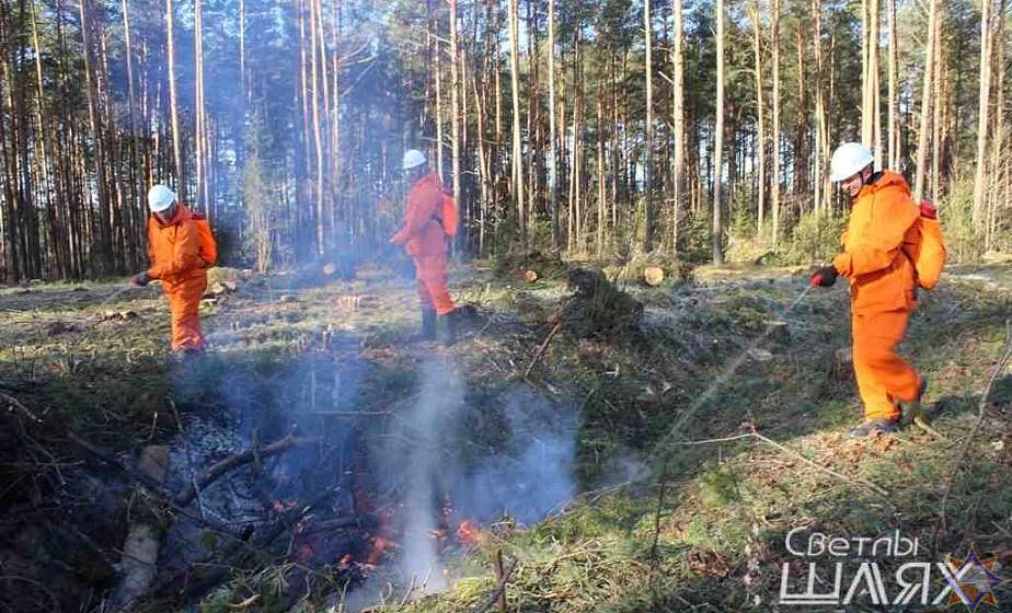 В Трилесинском лесничестве потушили пожар 