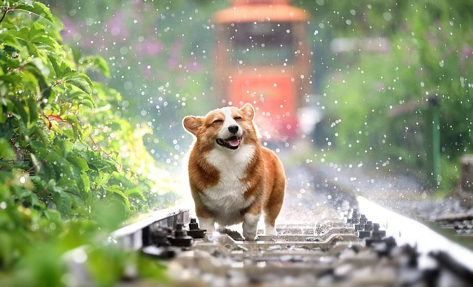 Ревматолог назвал причину боли в суставах во время смены погоды