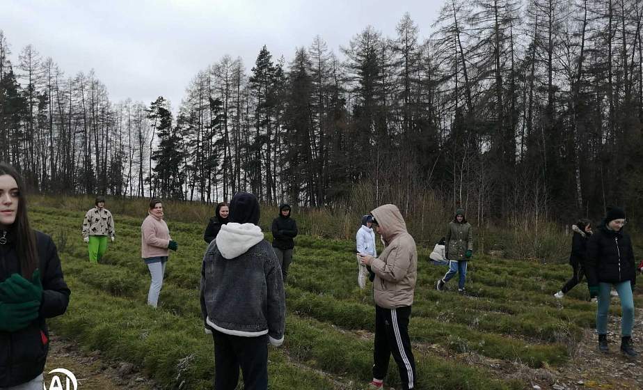 На Гродненщине начали работу экологические студотряды
