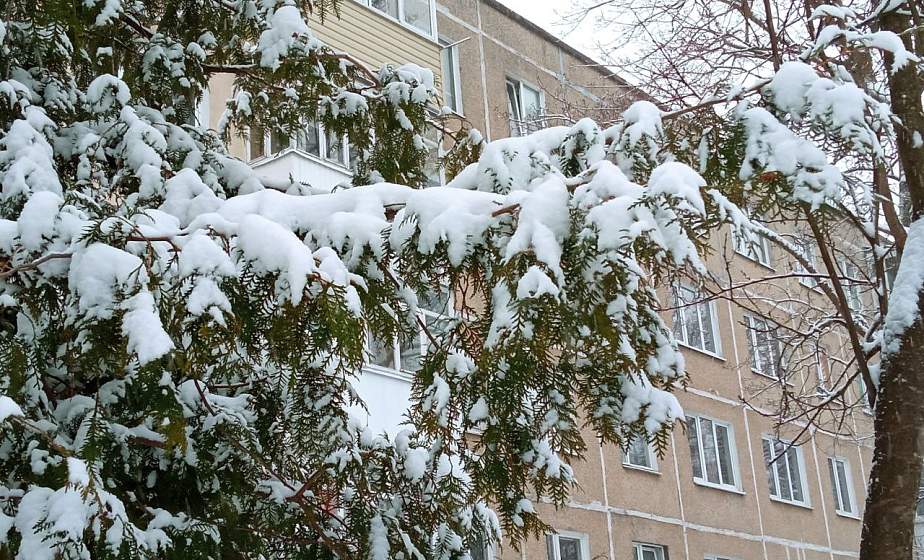 Снегопад в Гродненской области: ЧС не зафиксировано, ситуация на дорогах напряженная