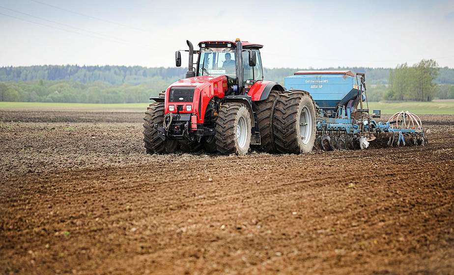 В Беларуси посеяли почти половину ранних зерновых культур