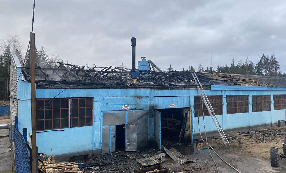 Загорелась крыша. В Сморгонском районе ликвидировали пожар в деревообрабатывающем цехе