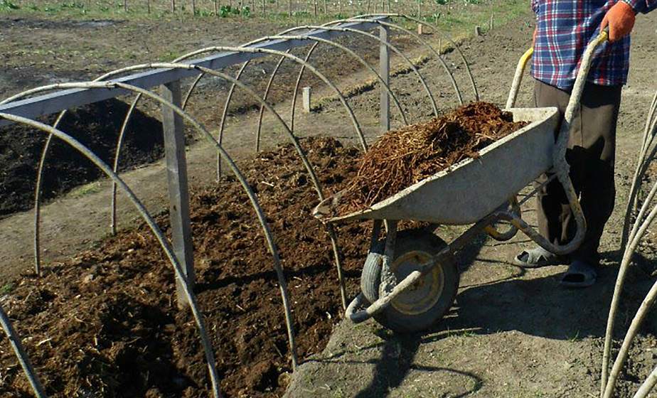 Как бы ни пугала погода. Самое время заняться подготовкой парников и теплиц к высадке рассады