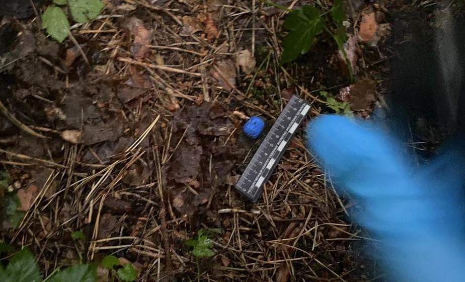 В Гродно за распространение наркотиков задержана 17-летняя учащаяся колледжа