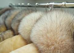 На рынке "Корона" пресечен нелегальный оборот меховых изделий