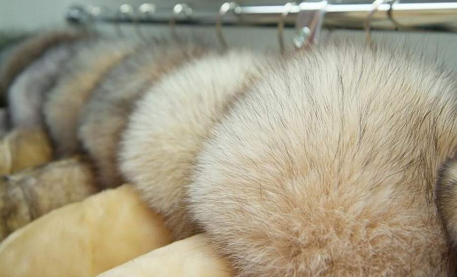 На рынке "Корона" пресечен нелегальный оборот меховых изделий